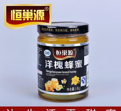 【全天然营养品 洋槐蜂蜜1000g 绿色无添加蜂蜜 优质蜂产品】